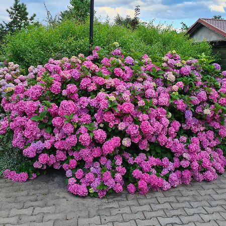 Dworek Sw.Antoniego Slawutowo Exteriör bild
